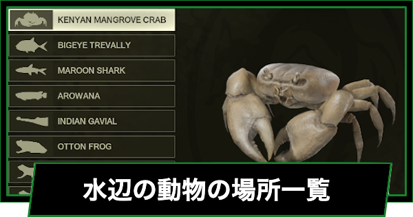 水辺の動物の場所一覧