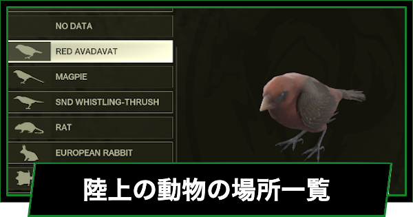 陸上の動物の場所一覧