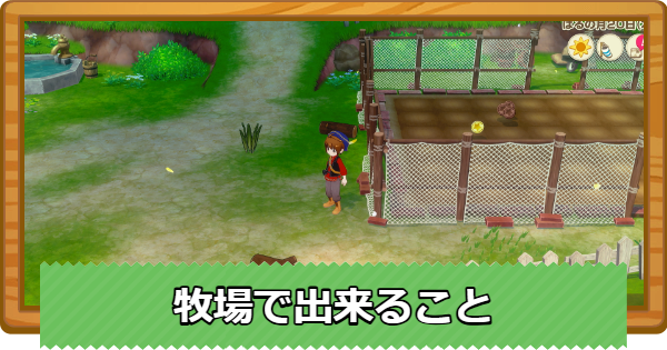 牧場で出来ること
