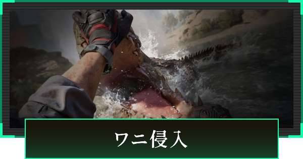 ワニ侵入イベントまとめ