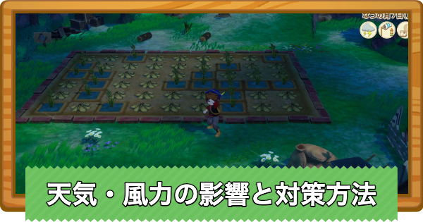 【牧場物語 風のグランドバザール】天気・風力の影響と対策方法【グラバザ】