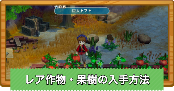 【牧場物語 風のグランドバザール】レア作物・果樹の入手方法と使い道【グラバザ】
