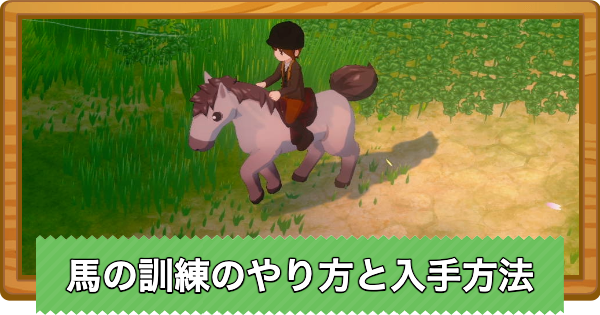 【牧場物語 風のグランドバザール】馬の訓練のやり方と入手方法【グラバザ】
