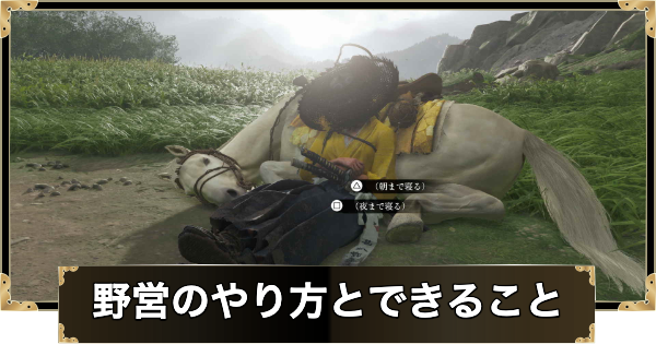 野営のやり方とできること