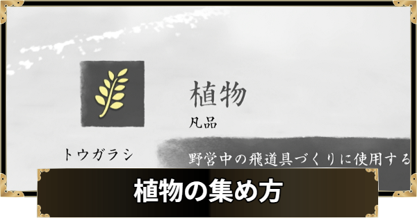 【ゴーストオブヨウテイ】植物の集め方と使い道【Ghost of Yotei】