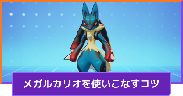 メガルカリオの立ち回りとコンボ