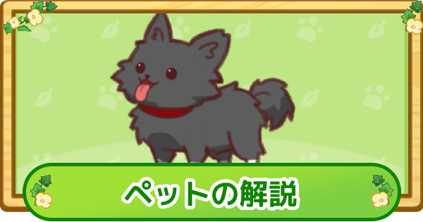 ペットの解説
