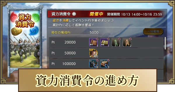 資力消費令の進め方と報酬
