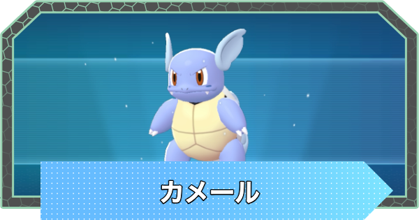 【ポケモンZA】カメールの進化と入手方法・おすすめ性格【ポケモンレジェンズZA】