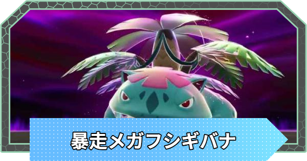 ️PSA10 連番️】メガフシギバナ進化系 極美品 メガブレイブ メガ