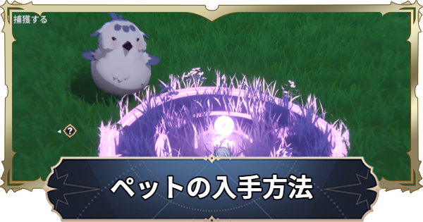 【ナナオリ】ペットの入手方法と捕獲のコツ【七つの大罪：Origin】