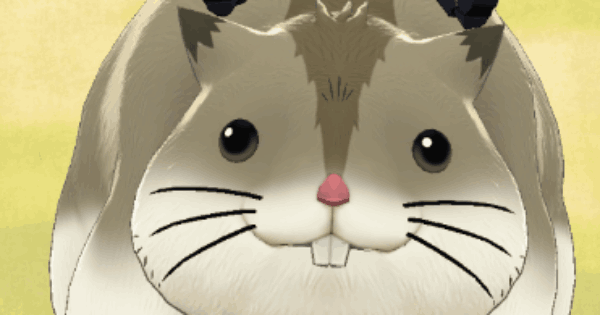 【LINEモンスターファーム】モモン&ハムスケの評価と育成論【LINEMF】