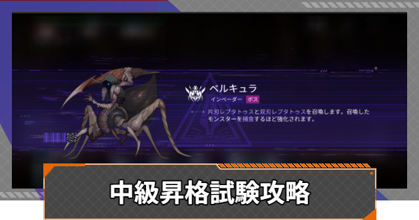 中級昇格試験攻略