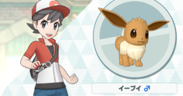 カケル＆イーブイの性能と評価｜おすすめパーティ