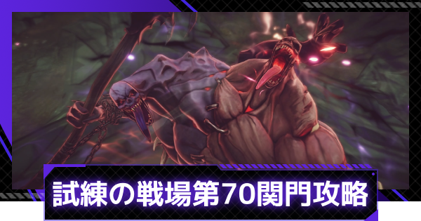 【俺アラ】試練の戦場第70関門の攻略【俺だけレベルアップな件：ARISE】
