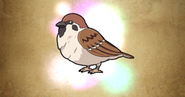 【ポコダン】チュン太郎の性能と入手方法【ポコロンダンジョンズ】