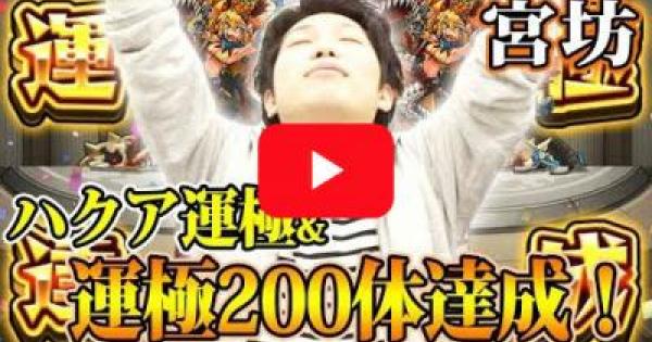 モンスト 宮坊のプロフィールを公開 ゲームウィズ Gamewith