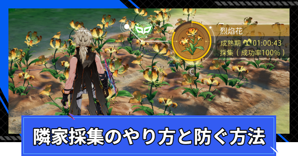 【CoA】隣家採集のやり方と防ぐ方法【クリスタルオブアトラン】