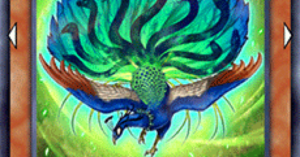 遊戯王デュエルリンクス 九蛇孔雀の評価と入手方法 ゲームウィズ Gamewith