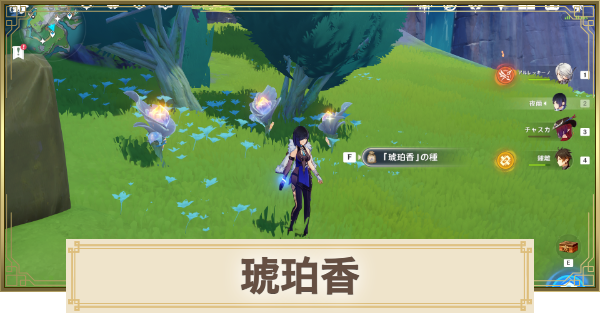 【原神】琥珀香の場所(マップ)とおすすめルート