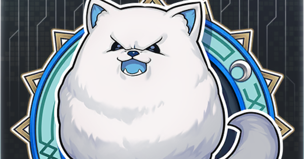 【FGO】『白き咆哮』の性能