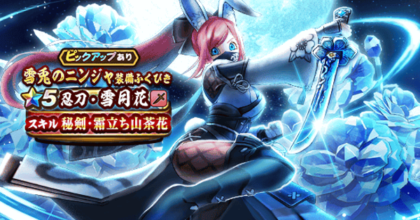 【ドラクエウォーク】雪兎のニンジャ装備ガチャは引くべきか？【DQウォーク】