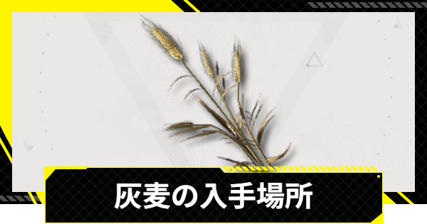 【エンドフィールド】灰麦の入手場所と使い道【アークナイツ】