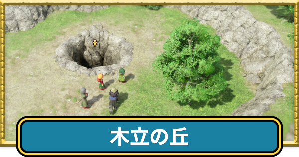 【ドラクエ7リイマジンド】木立の丘のマップと入手アイテム【ドラクエ7リメイク】