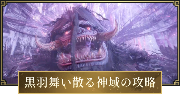 【仁王3】黒羽舞い散る神域の攻略