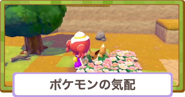 【ぽこあポケモン】ポケモンの気配の見つけ方とメリット【ぽこポケ】