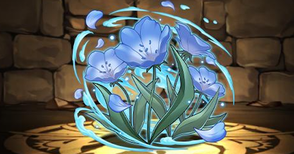 【パズドラ】蒼月草の評価