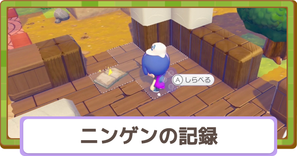 【ぽこあポケモン】人間の記録の場所一覧【ぽこポケ】