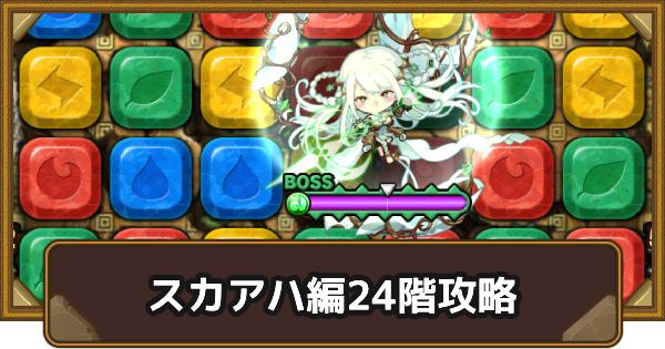 【ポコダン】スカアハ編24階攻略｜タワポコ【ポコロンダンジョンズ】