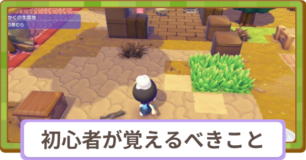 【ぽこあポケモン】初心者が覚えておくべきこと【ぽこポケ】
