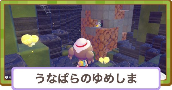 【ぽこあポケモン】うなばらのゆめしまの伝説ポケモンと地下への行き方【ぽこポケ】
