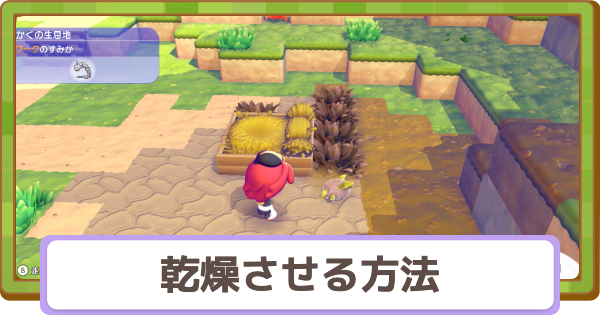 【ぽこあポケモン】乾燥させる方法とメリット【ぽこポケ】