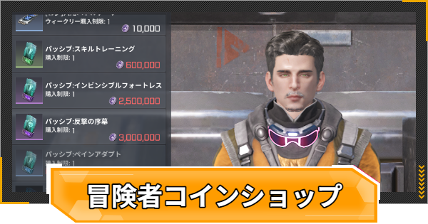【RFオンラインネクスト】冒険者コインショップの購入優先度【RFオンネク】