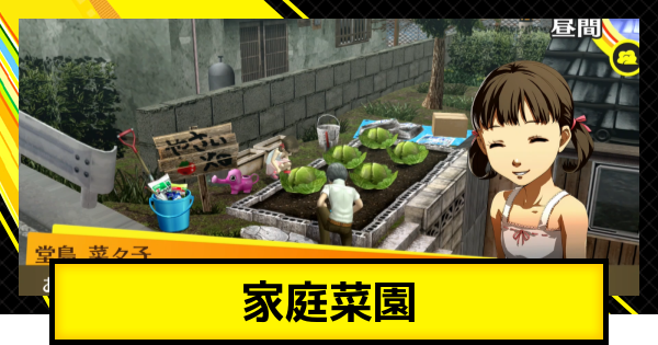 【ペルソナ4ゴールデン】家庭菜園のやり方とおすすめ野菜【P4G】