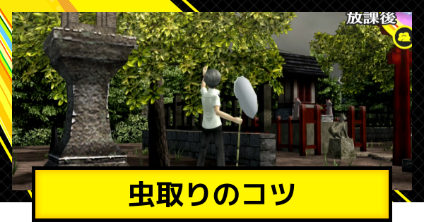 【ペルソナ4ゴールデン】虫取りのやり方・コツとタイミング【P4G】