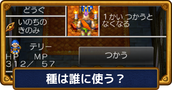 【ドラクエ6】種は誰に使うべき？使うタイミングと上昇値【ドラゴンクエスト6】