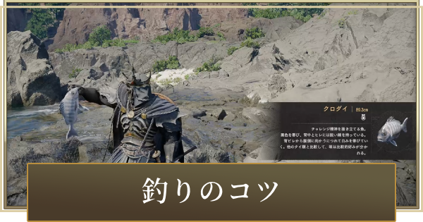 釣りのコツと必要なアイテム