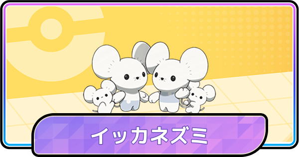 【ポケモンチャンピオンズ】イッカネズミの育成論と対策