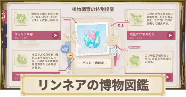【原神】リンネアの博物図鑑(特別授業)の進め方
