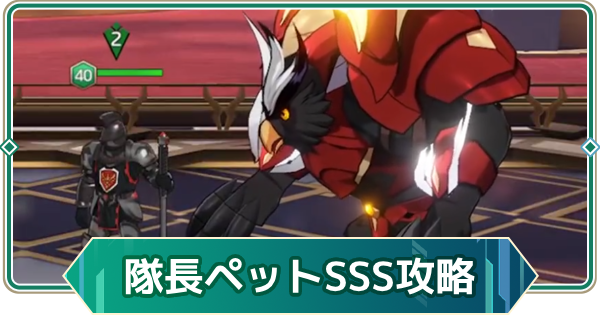 【アウタープレーン】騎士団隊長のペットランクチャレンジSSS攻略【アウプレ】