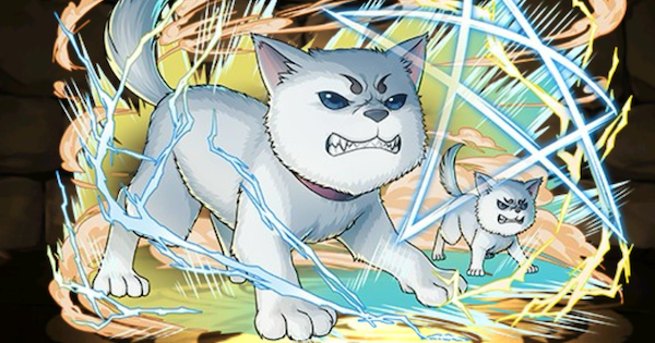 【パズドラ】定春の評価と確保数！購入すべき？