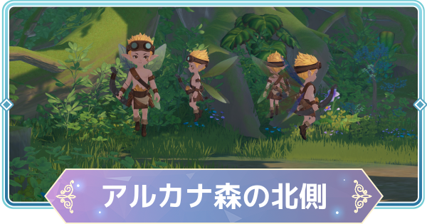 【モンギル】アルカナ森の北側の宝箱とオズのパズル位置・出現モンスター【STAR DIVE】