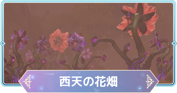 【モンギル】西天の花畑の宝箱とオズのパズル位置・出現モンスター【STAR DIVE】