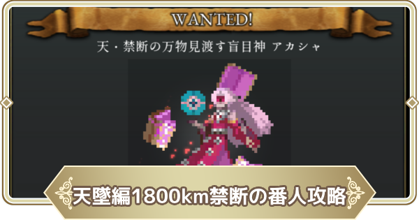 【ログウィズ】天墜編1800km禁断の番人攻略【ローグウィズデッド】