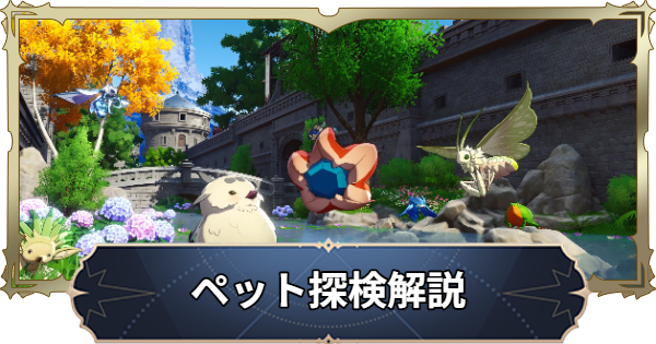 【ナナオリ】ペット探検のやり方と仕様【七つの大罪：Origin】