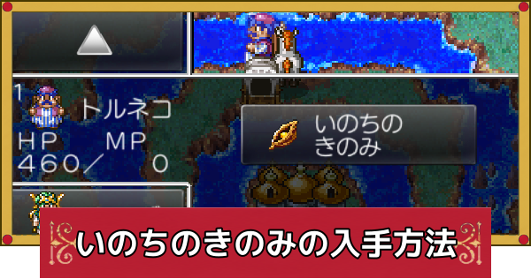 【ドラクエ4】いのちのきのみの効率的な集め方・誰に使うべき？【ドラゴンクエスト4】